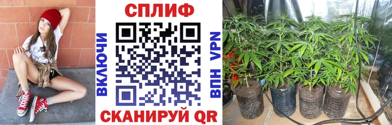 Шишки марихуана индика  Купить где  Нурлат 